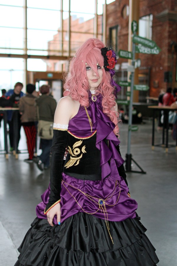 Desucon 2012, Inside
