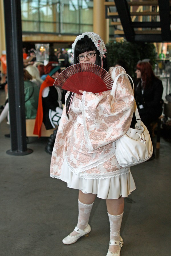 Desucon 2012, Inside