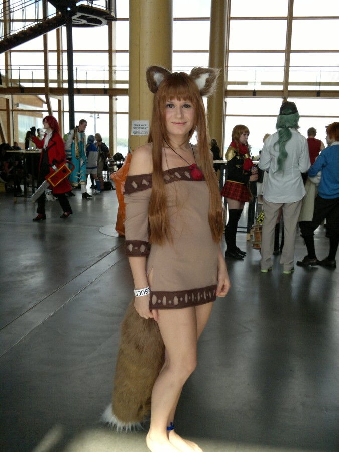 Desucon 2012, Inside