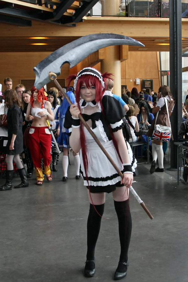 Desucon 2012, Inside