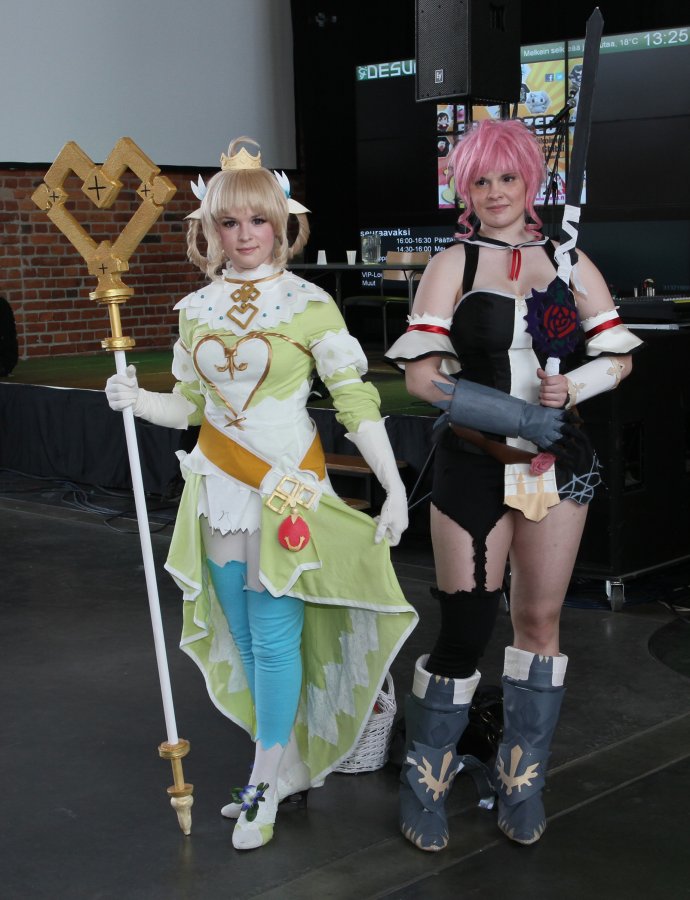 Desucon 2012, Inside