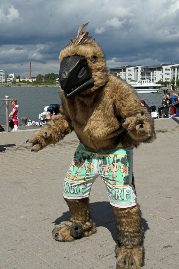 Desucon 2012, Outside