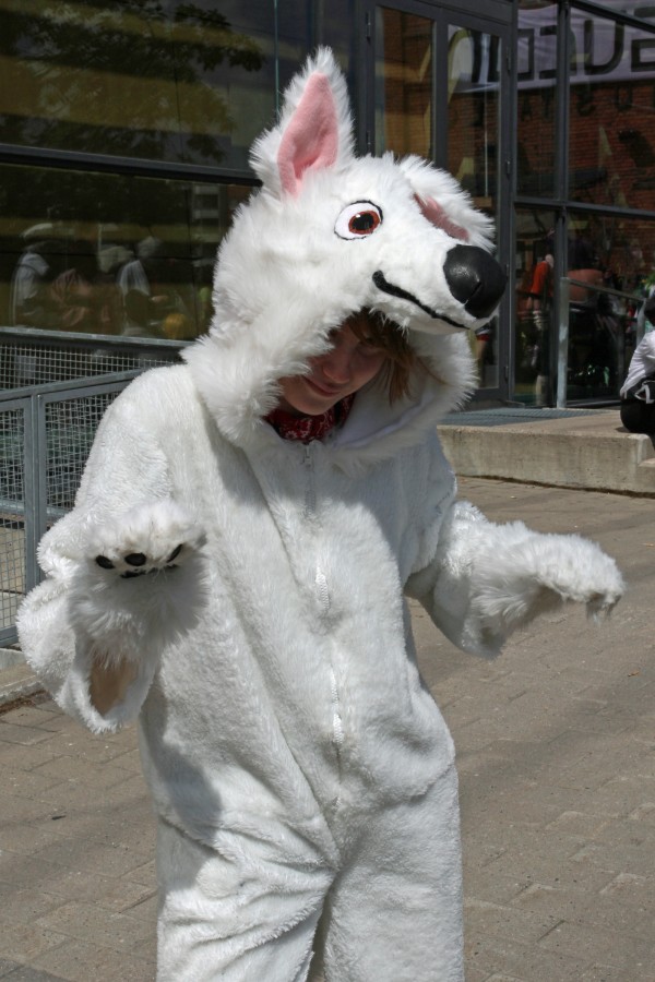 Desucon 2012, Outside