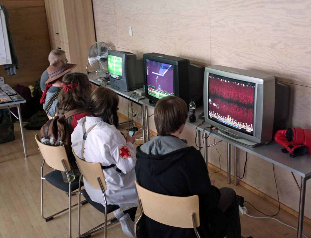 Desucon 2013, Inside