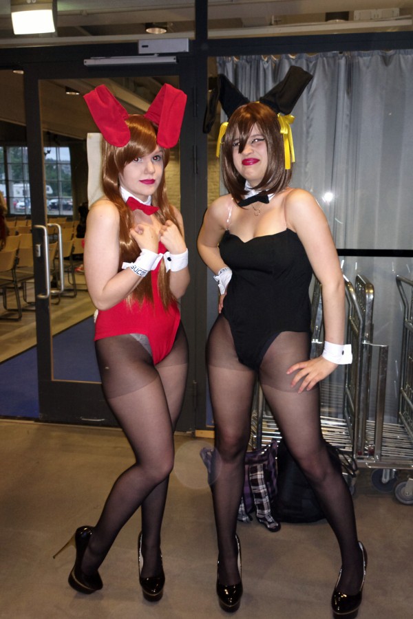 Desucon 2013, Inside