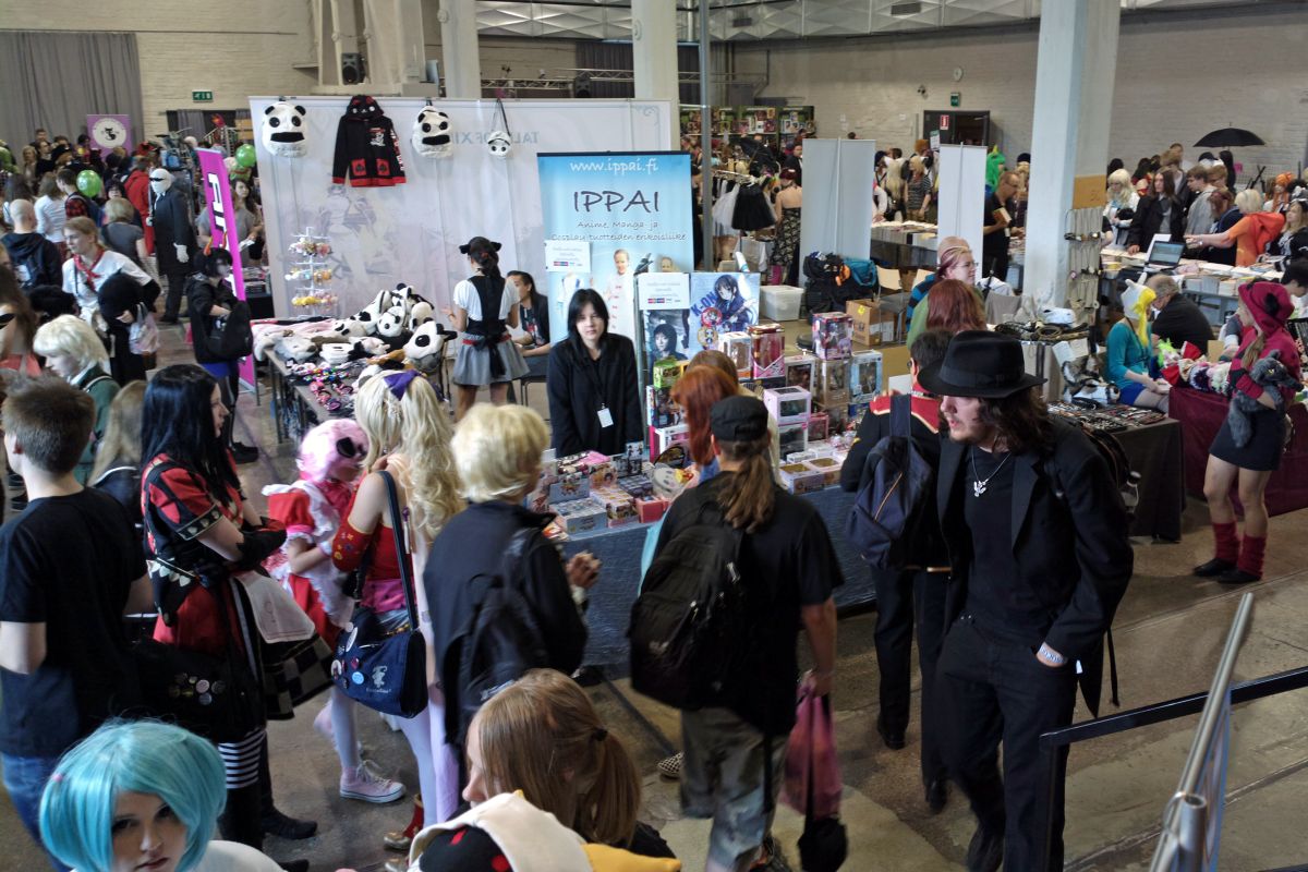 Desucon 2013, Inside