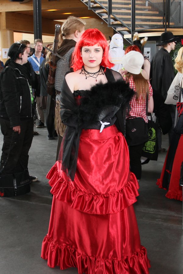 Desucon 2013