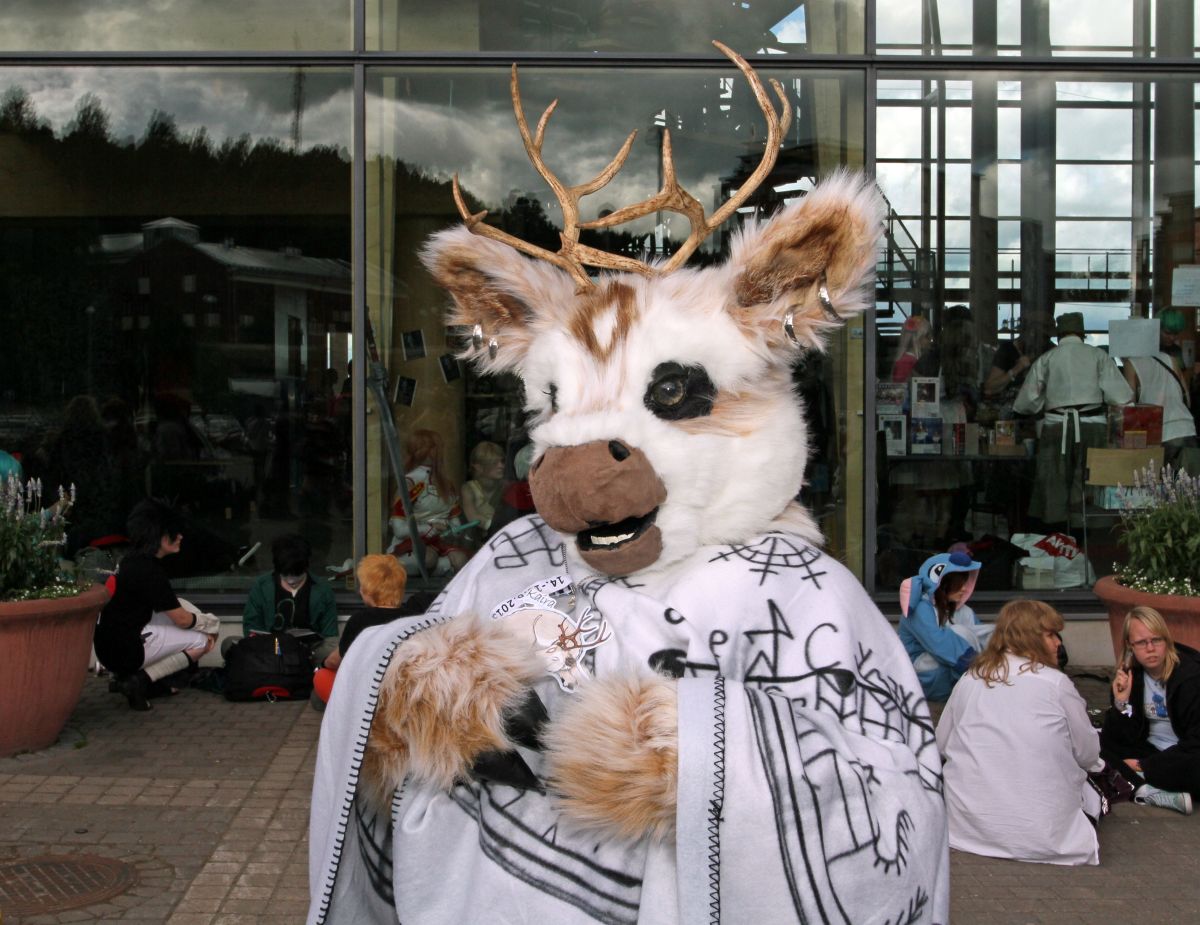 Desucon 2013, Outside