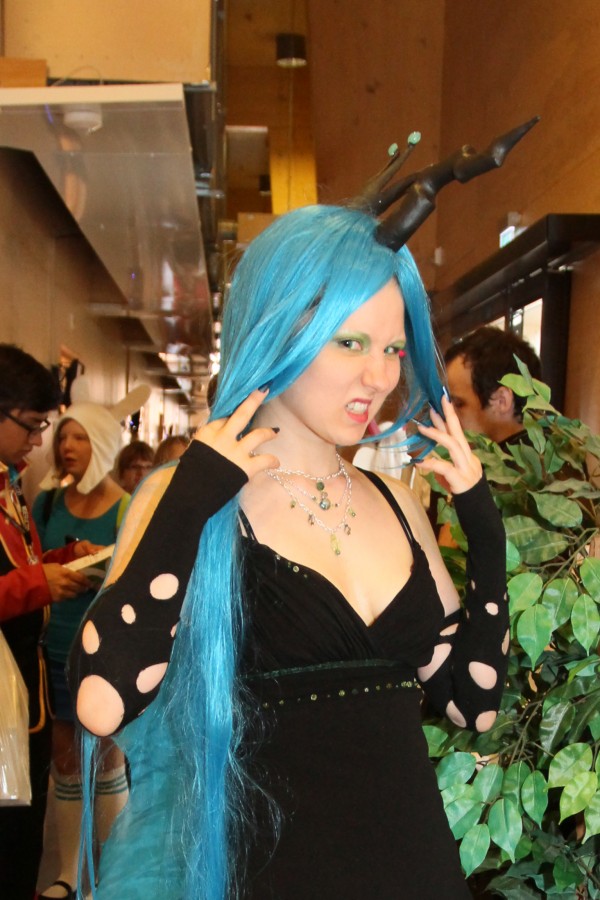 Desucon 2013, Inside
