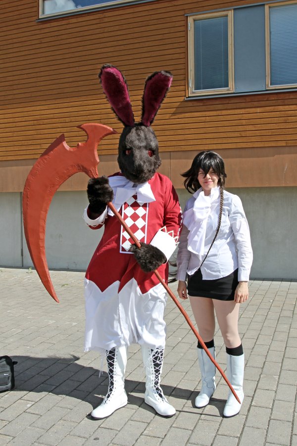 Desucon 2013, Outside