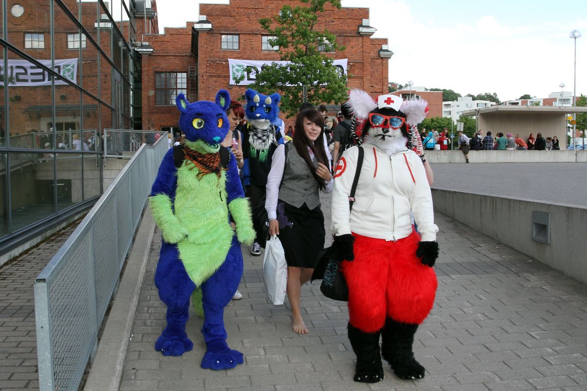 Desucon 2013, Outside