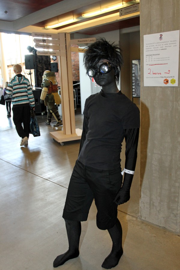 Desucon 2013, Inside