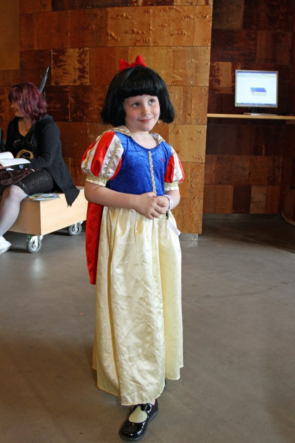 Desucon 2013, Inside