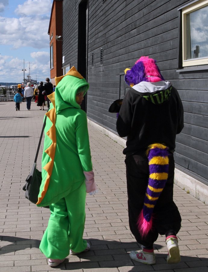 Desucon 2013, Outside
