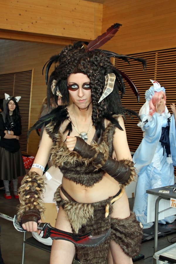 Desucon 2013