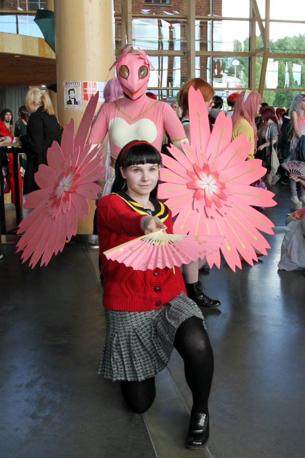 Desucon 2013, Inside