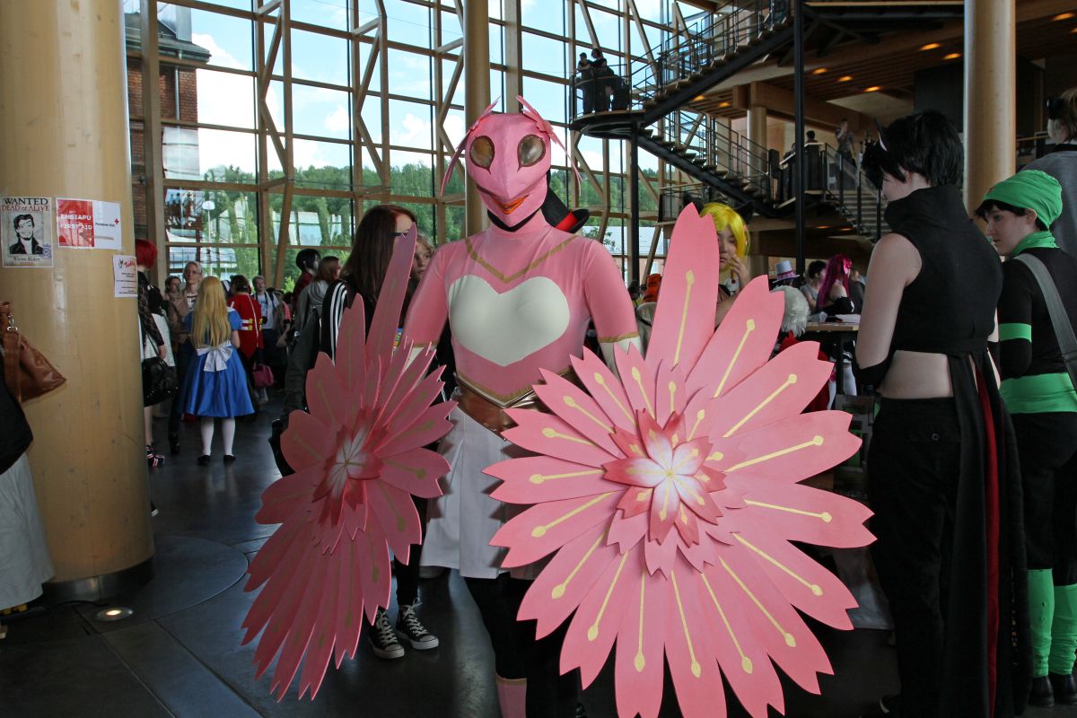 Desucon 2013, Inside