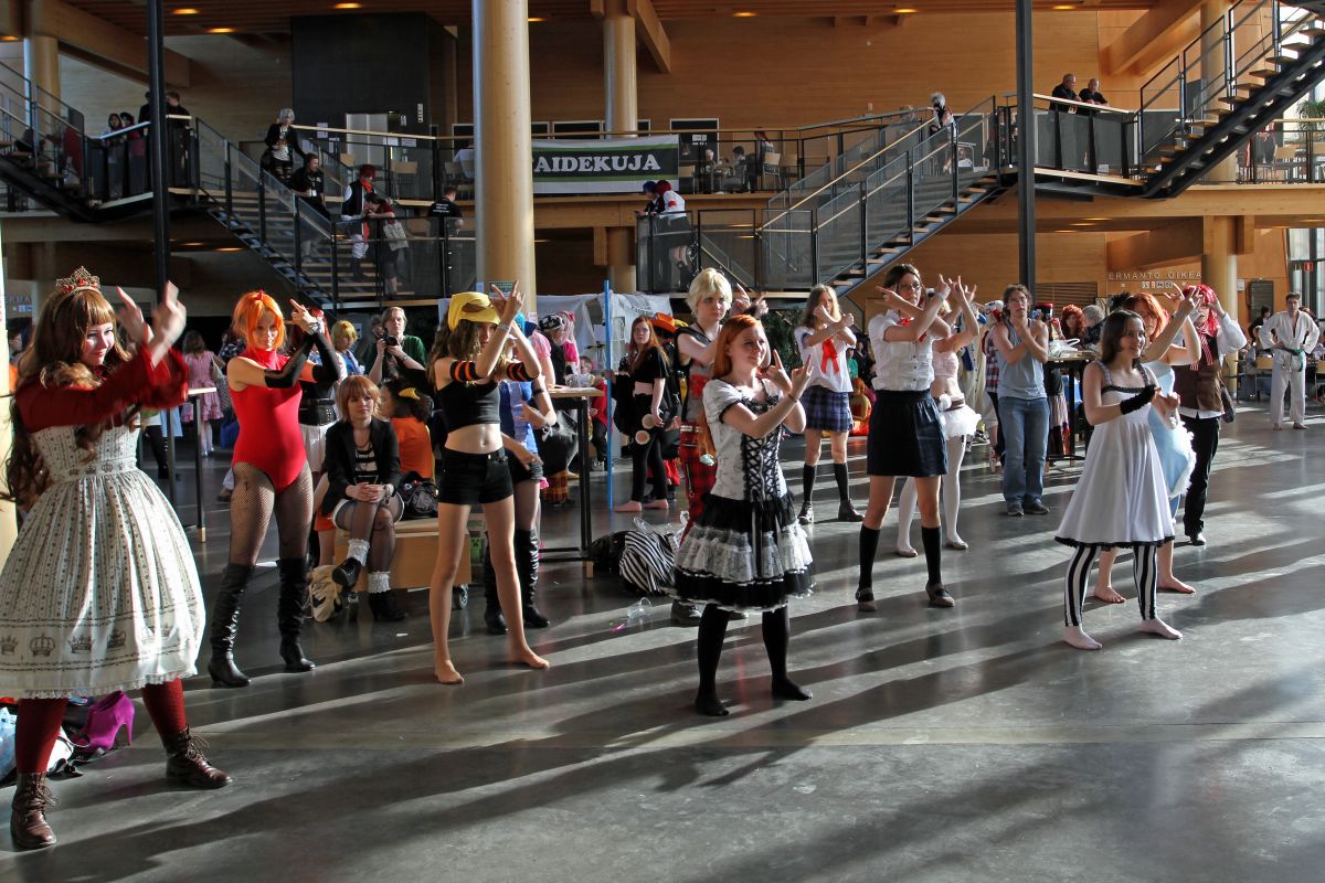 Desucon 2013, Inside