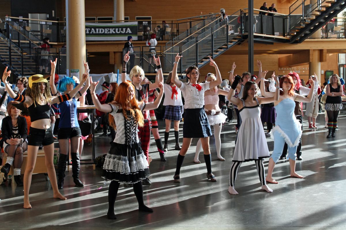 Desucon 2013, Inside