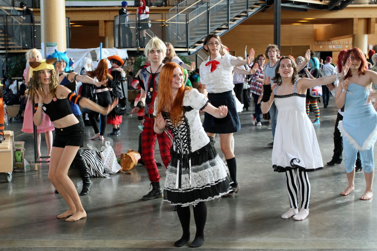 Desucon 2013