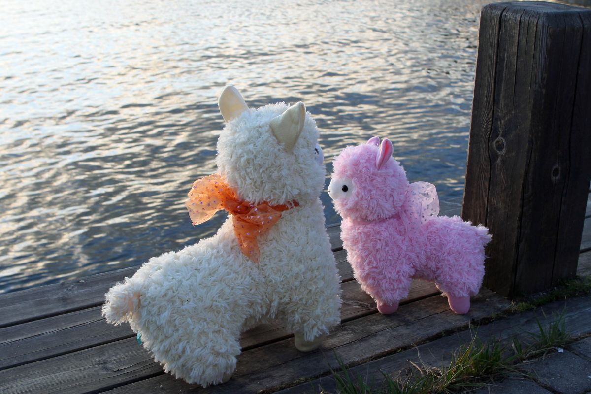 Desucon 2013, Outside