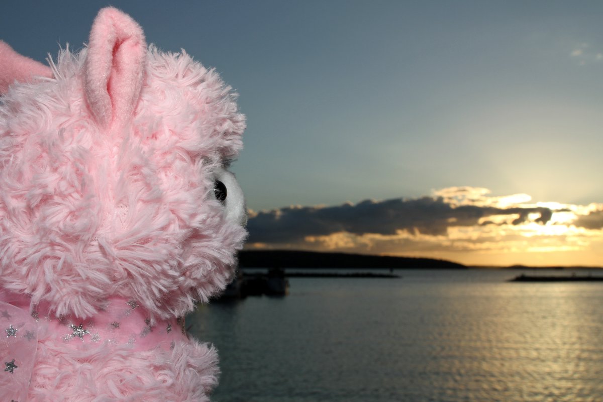 Desucon 2013, Outside