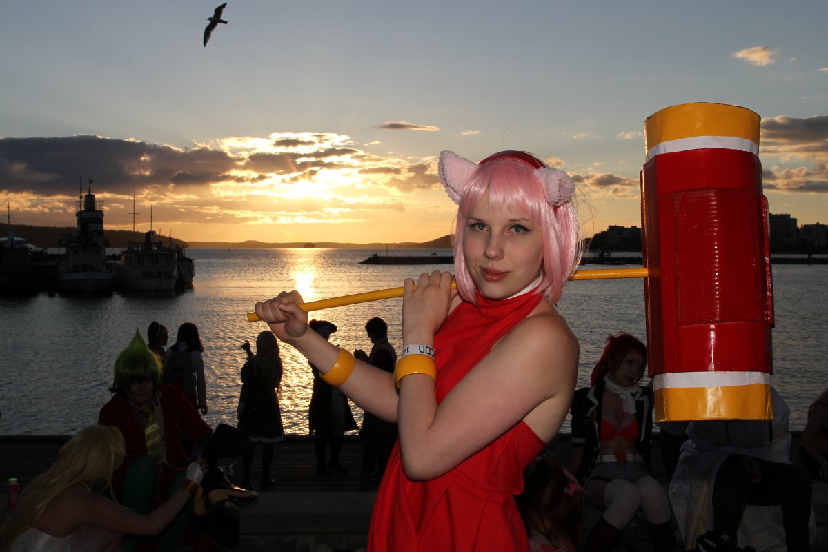 Desucon 2013, Outside