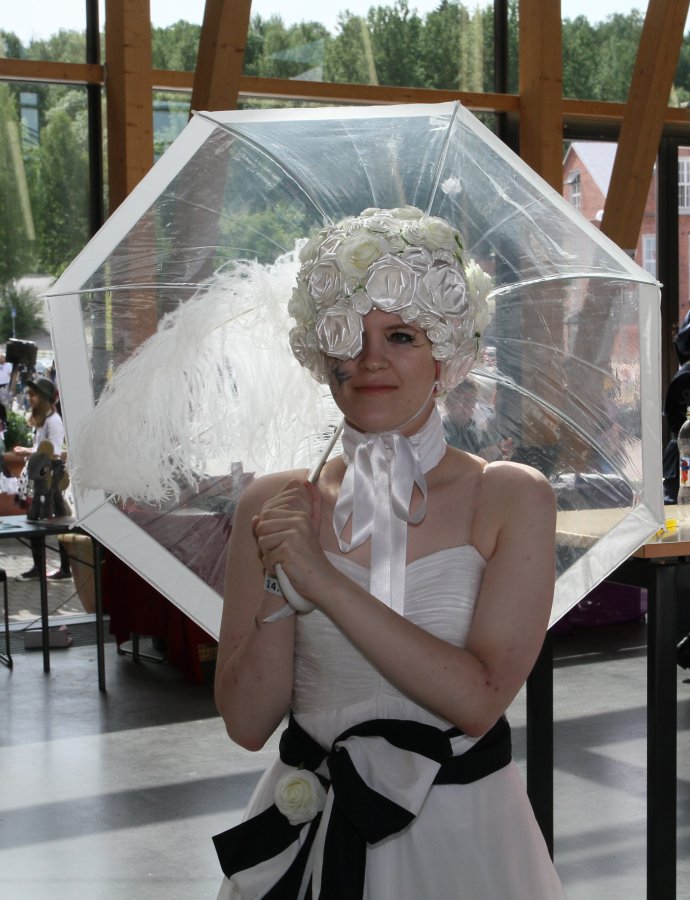 Desucon 2013, Inside