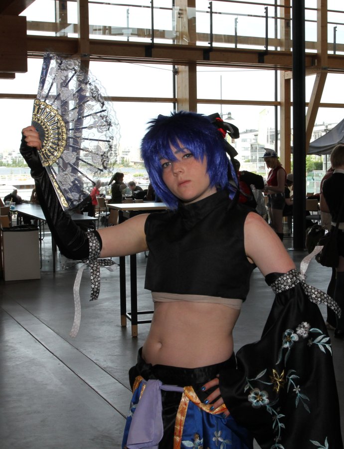 Desucon 2013, Inside