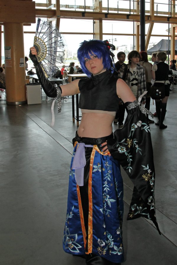 Desucon 2013, Inside
