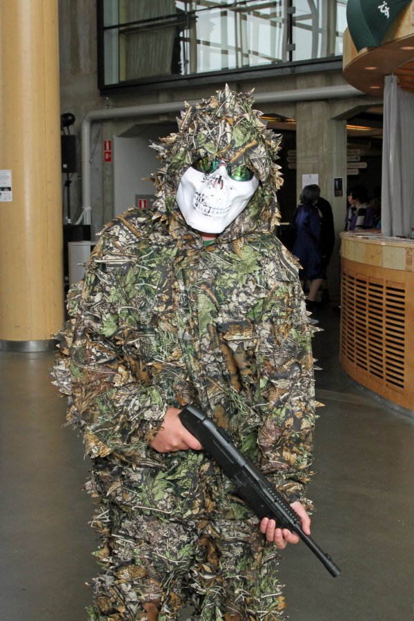 Desucon 2013, Inside