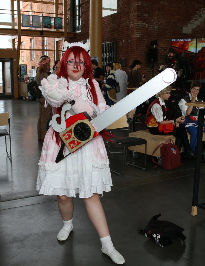 Desucon 2013, Inside