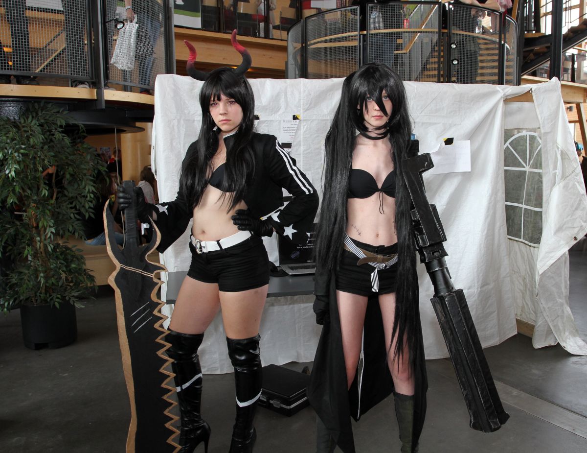 Desucon 2013, Inside