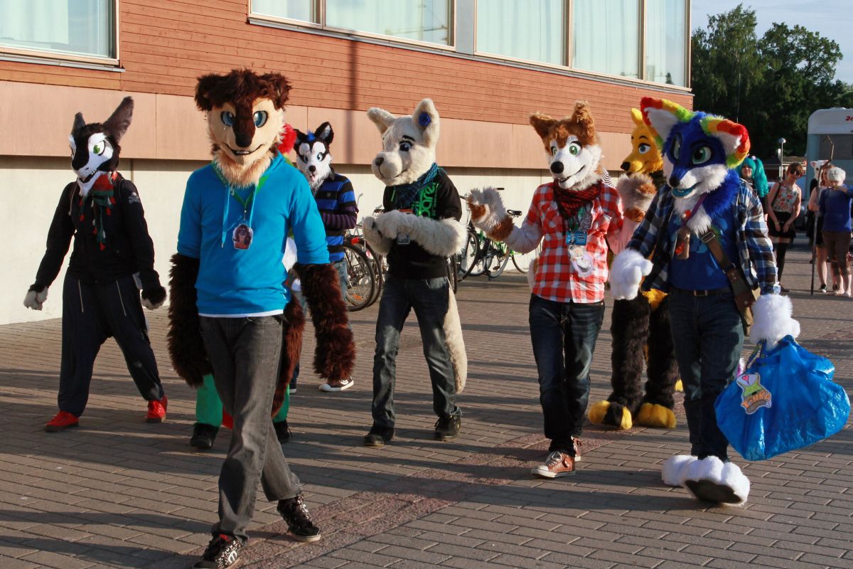 Desucon 2014