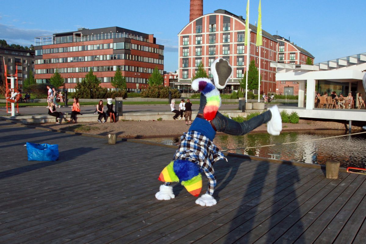 Desucon 2014, Furry outing