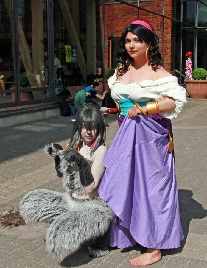Desucon 2014, Desu photos