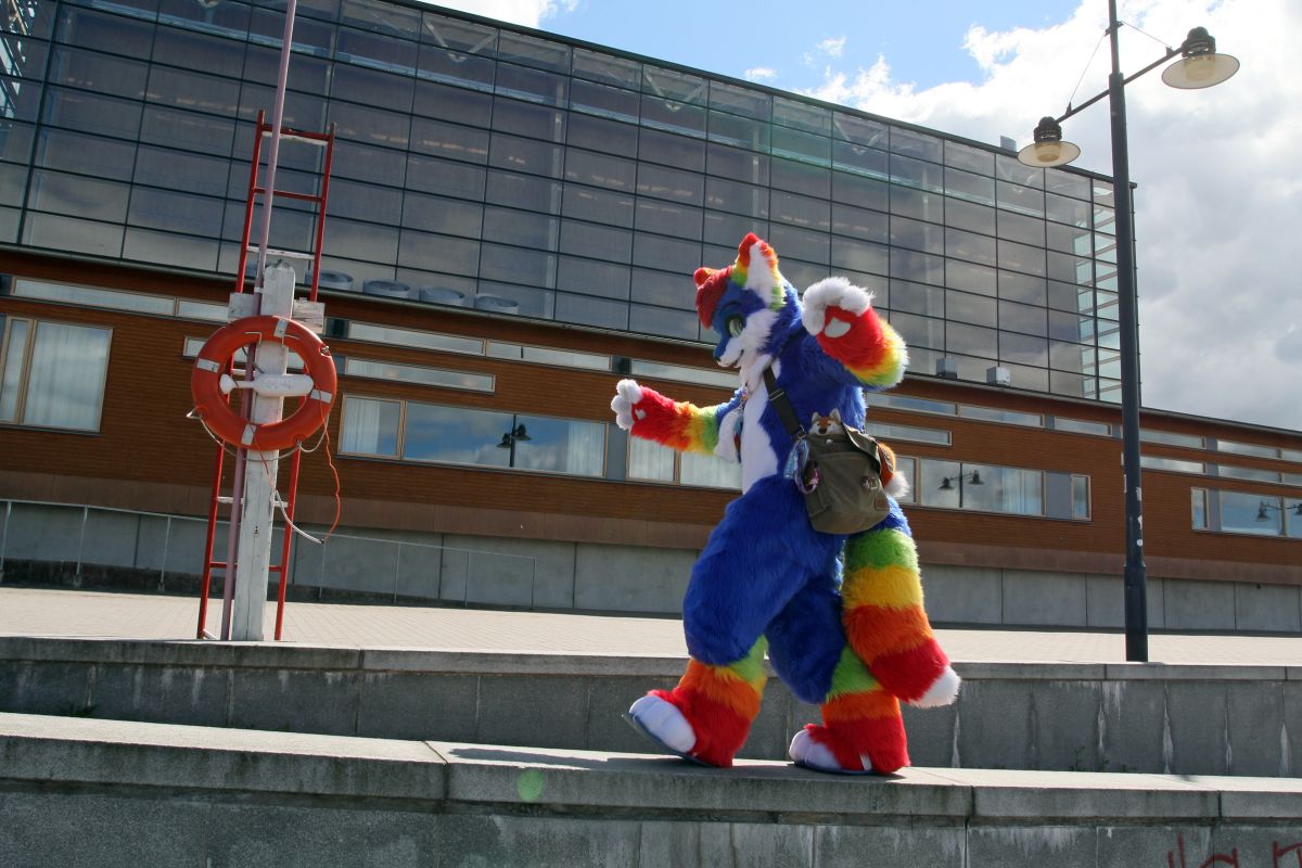 Desucon 2016