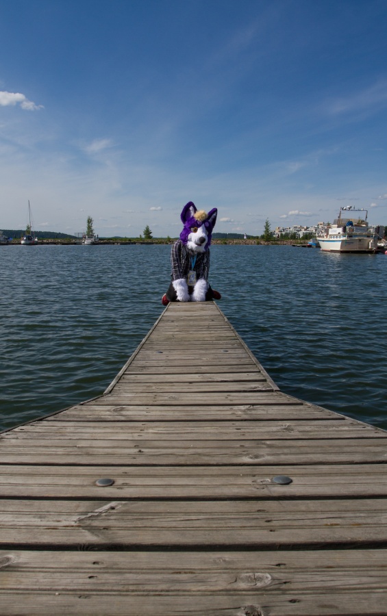 Desucon 2017