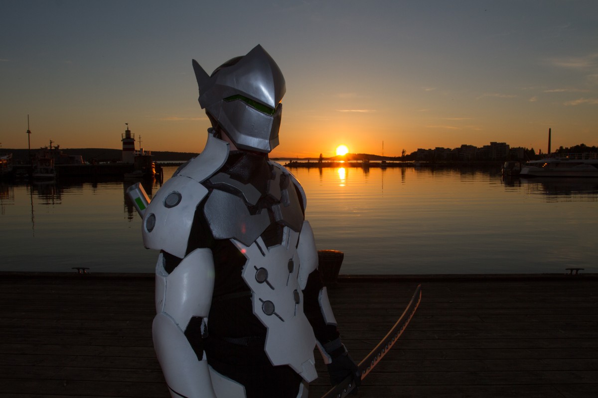 Desucon 2017
