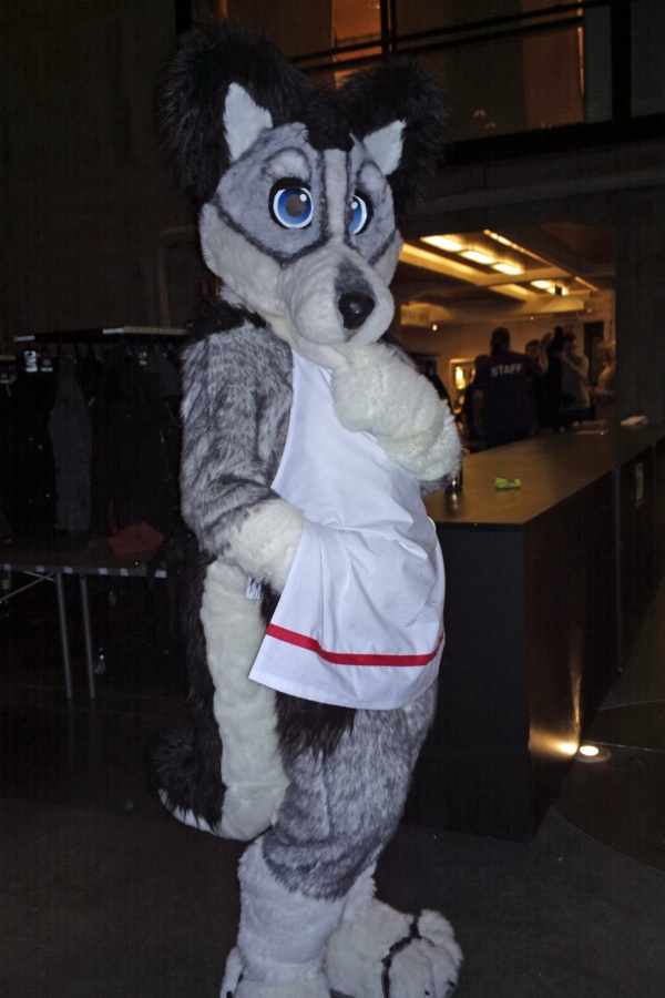 Desucon Frostbite 2014