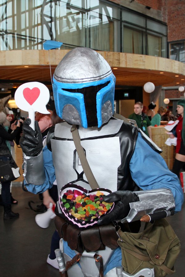 Desucon Frostbite 2015, Convention photos