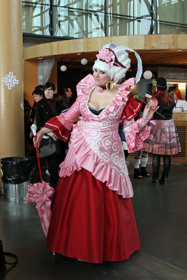 Desucon Frostbite 2015, Convention photos