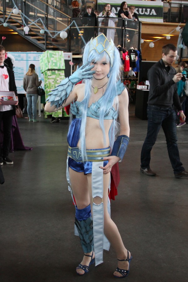 Desucon Frostbite 2015, Convention photos