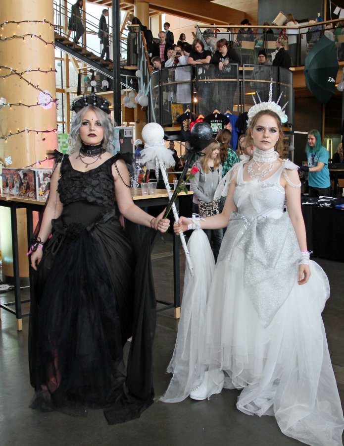Desucon Frostbite 2015, Convention photos