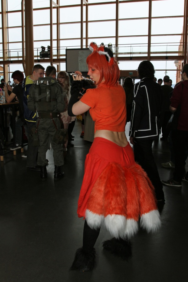 Desucon Frostbite 2015, Convention photos