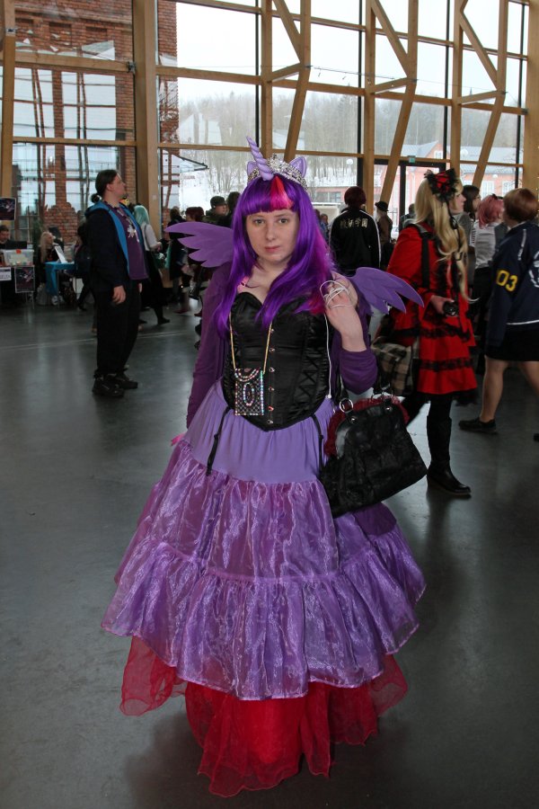 Desucon Frostbite 2015, Convention photos