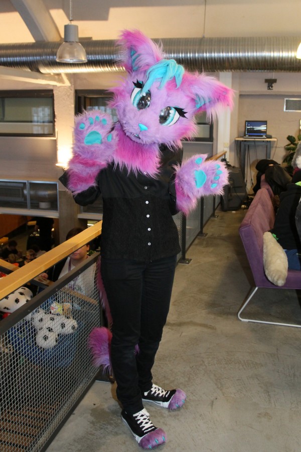 Desucon Frostbite 2015, Furries