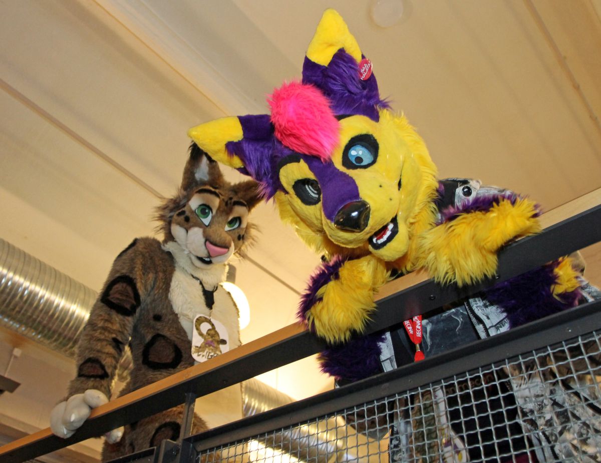 Desucon Frostbite 2015, Furries