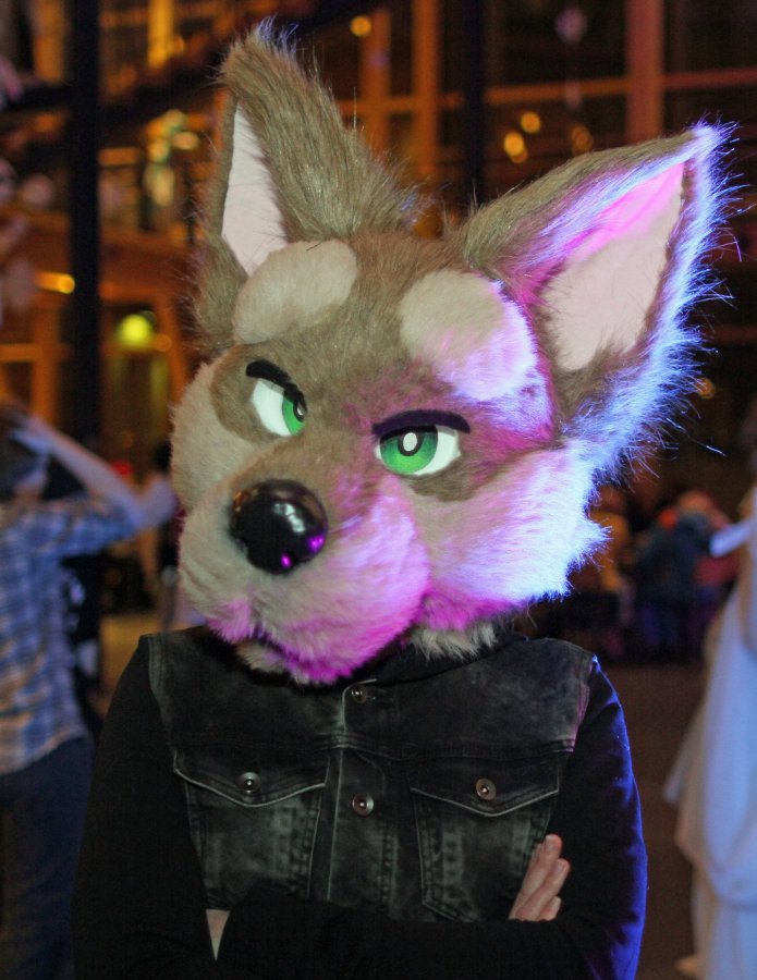 Desucon Frostbite 2015, Furries