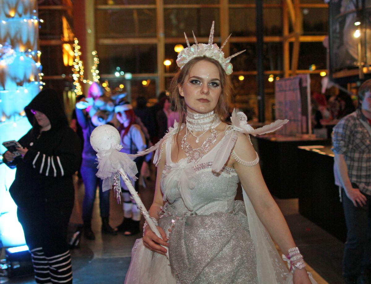 Desucon Frostbite 2015, Convention photos